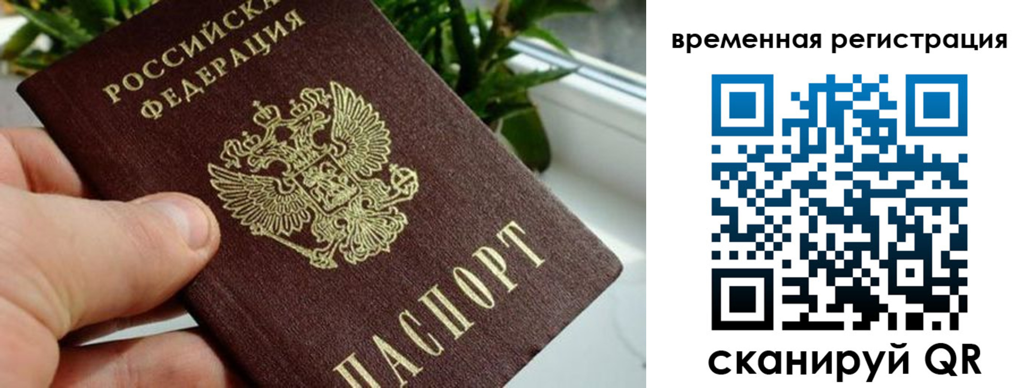 прописка поиск в Дзержинске